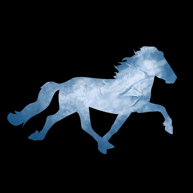 Isländer Rennpass Gletscher 2