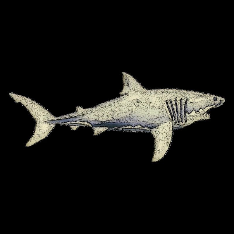 Grands requins blancs requins de mer ailerons de requin silhouette de l’océan01