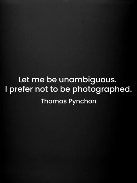 Thomas Pynchon quote