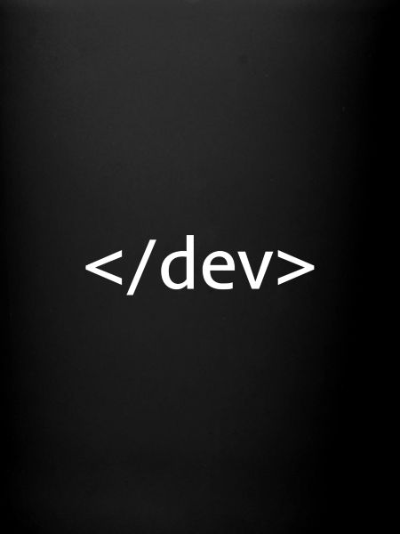 Developer