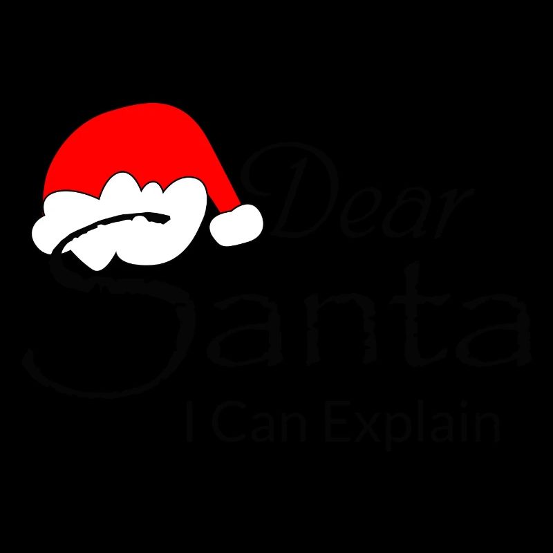 Dear Santa I Can Explain