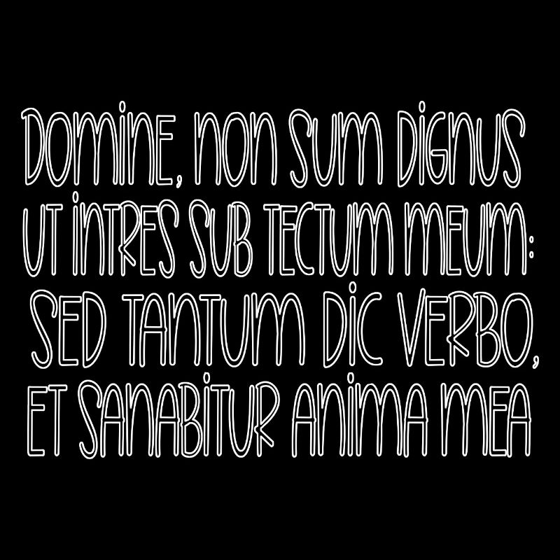Domine, non sum dignus ,Seigneur je ne suis pas digne