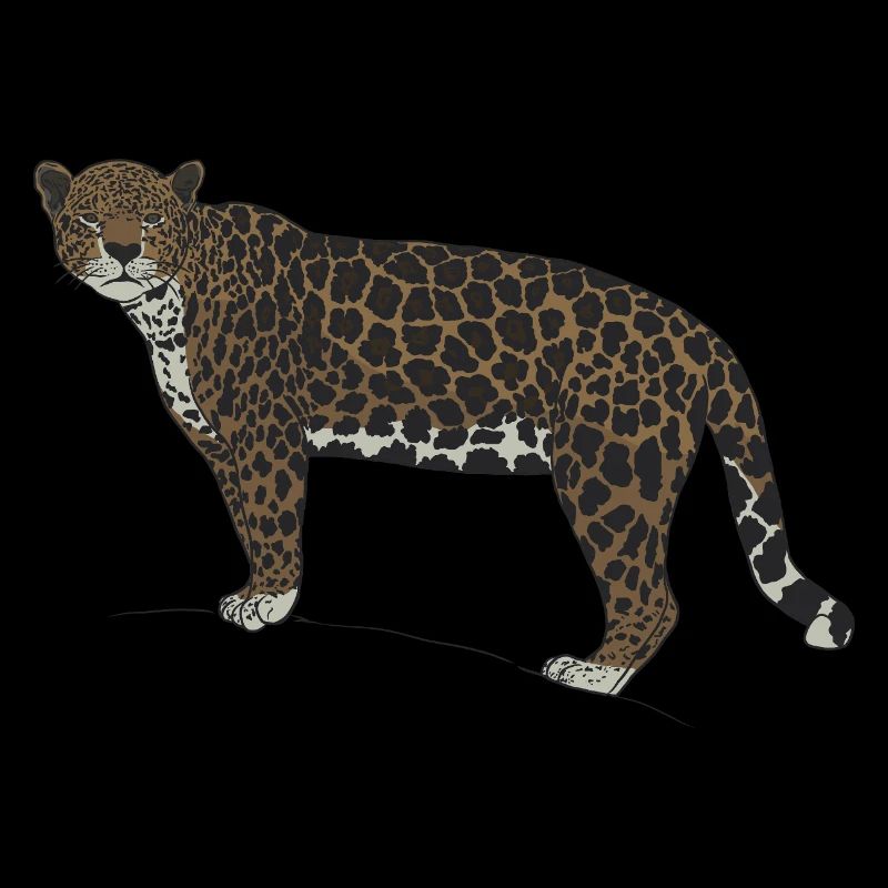 Jaguar-Blick