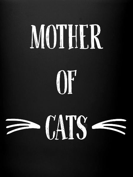 Chat-dame Chat