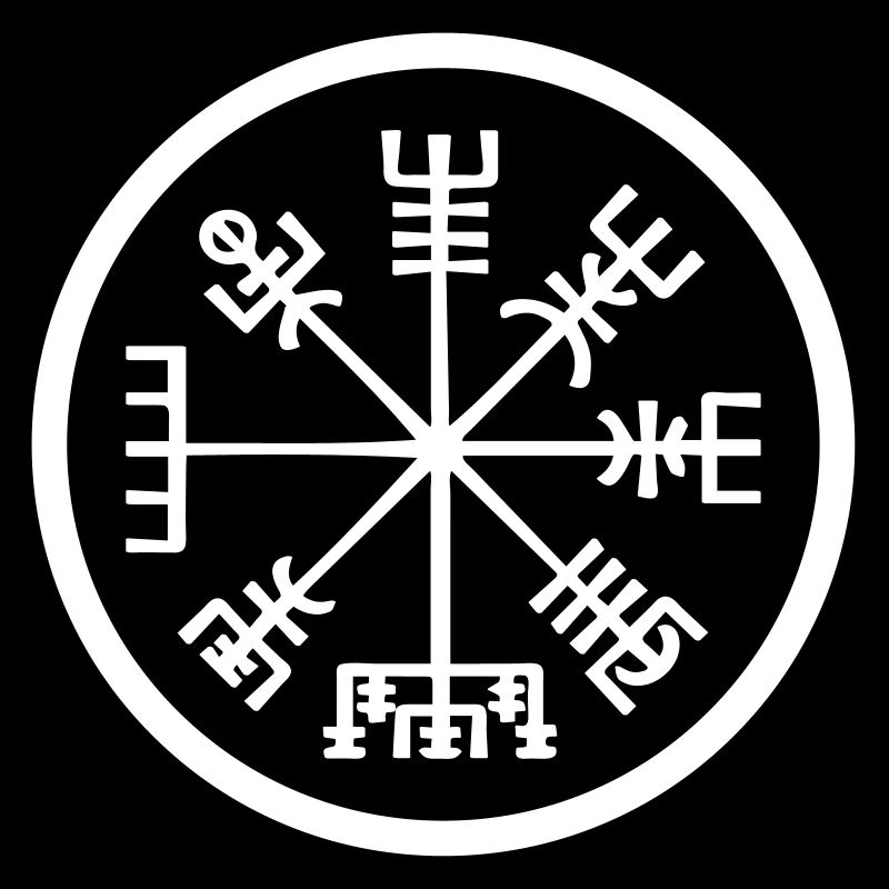 Vegvisir MT16