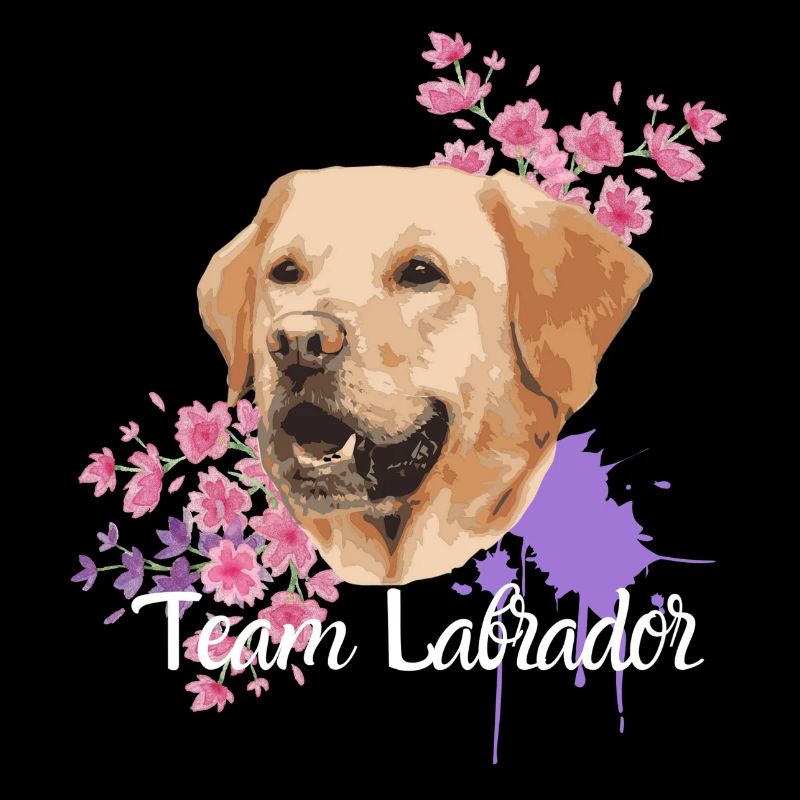 Team Labrador