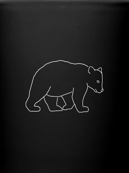 Bear sketch