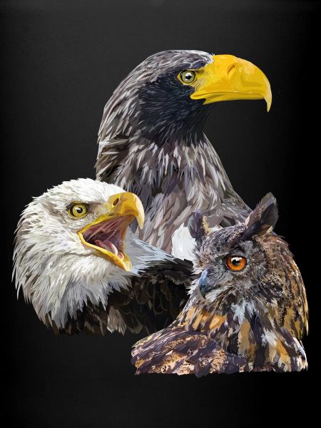 Pigargos and Owl
