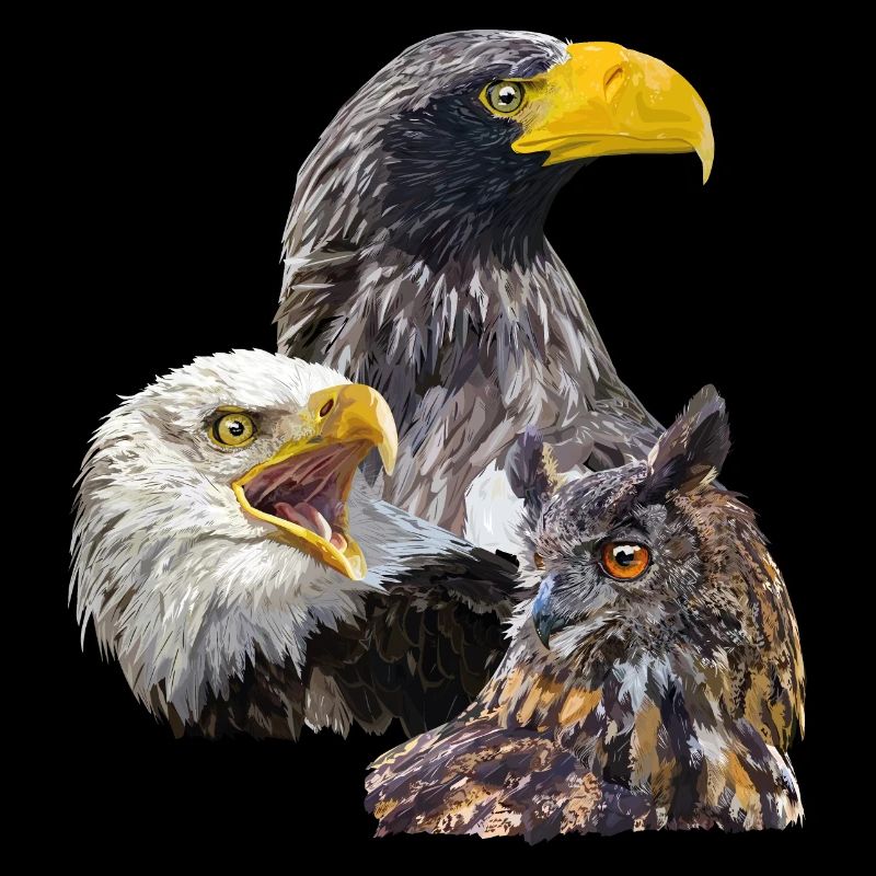 Pigargos und Eule