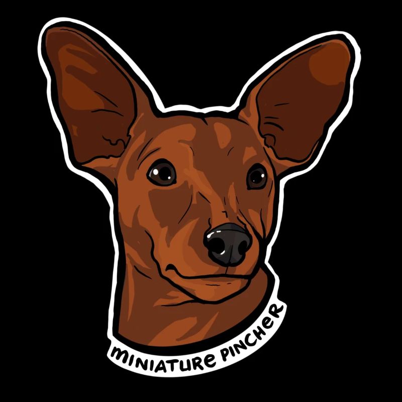 Tiny Giant - Miniatur Pincher
