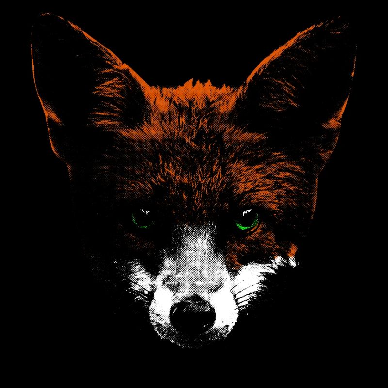 Renard