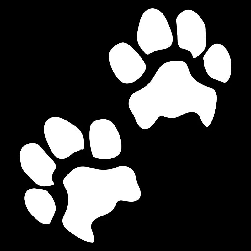 Paw prints dog paws paws dogs