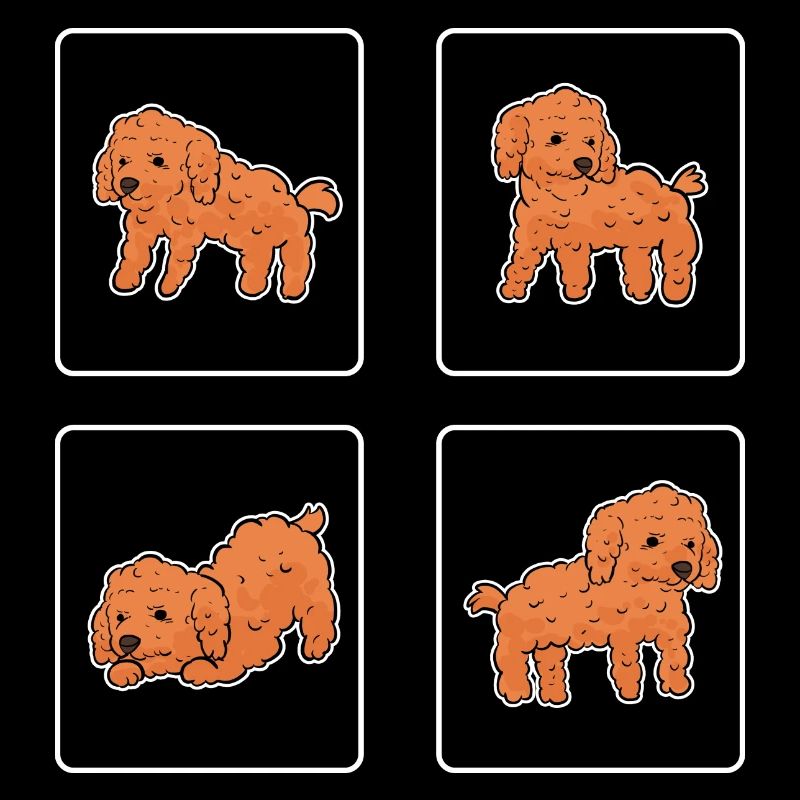 Caniche Chien Nain Caniche Jouet Caniche Petit Caniche Chiot Chiot