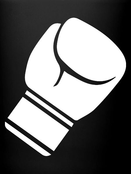 Boxe Combat Muay Thai