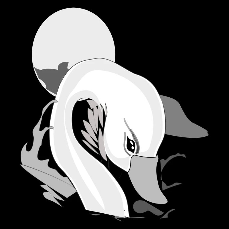 Cygne et élégance
