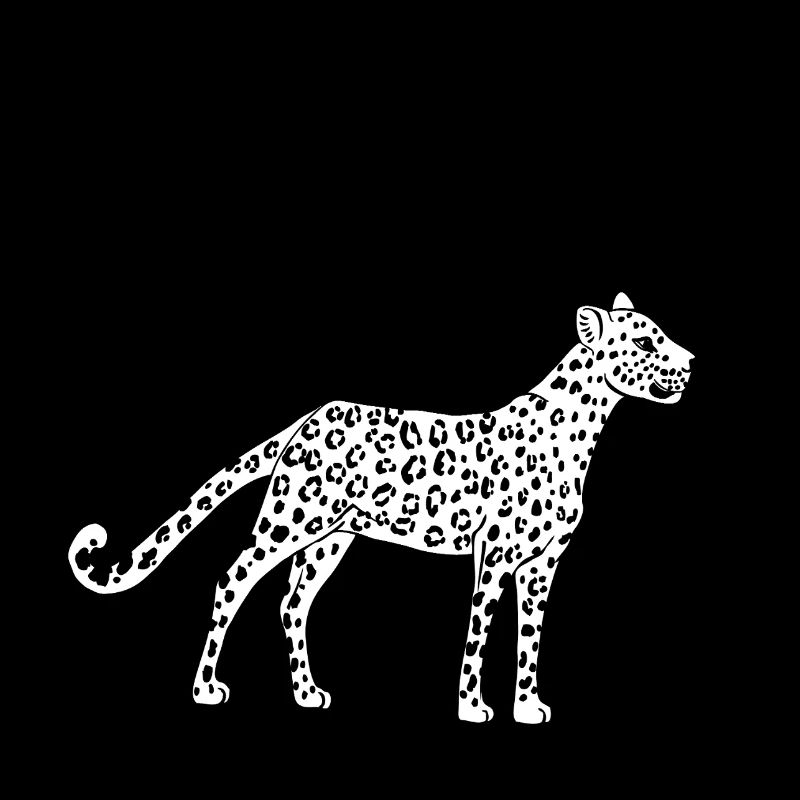 Leopard und Zebra