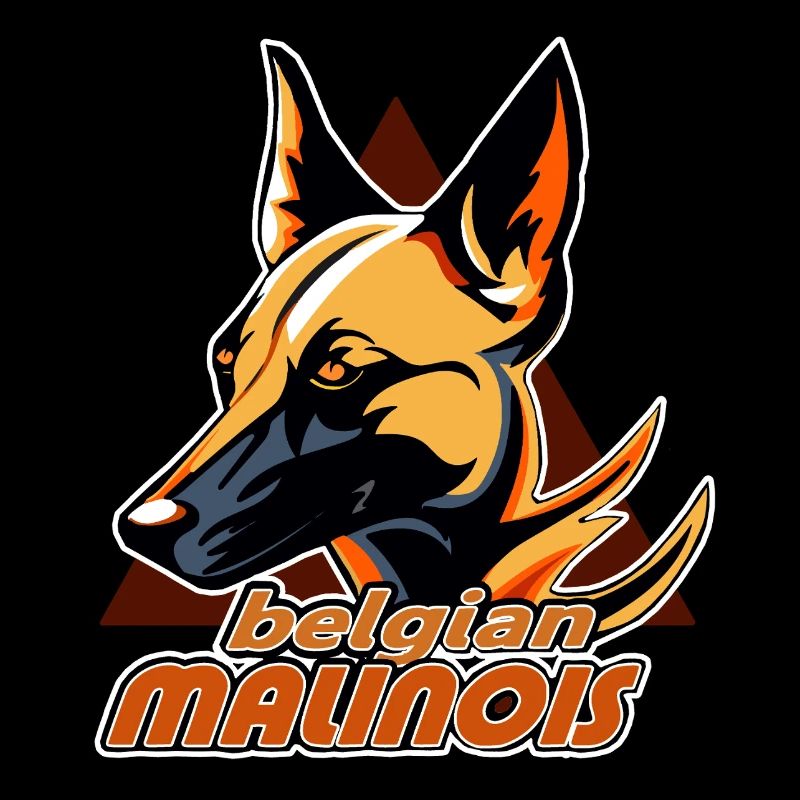 belgian maliniois