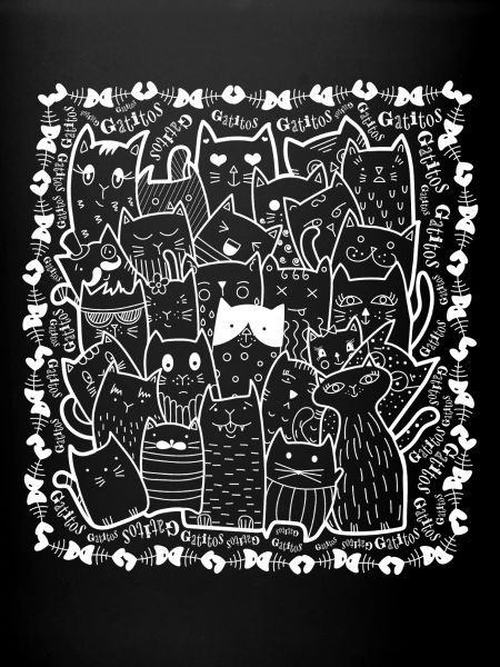 Chats V1B