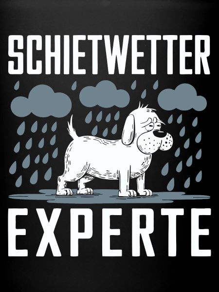 Bad weather dog expert