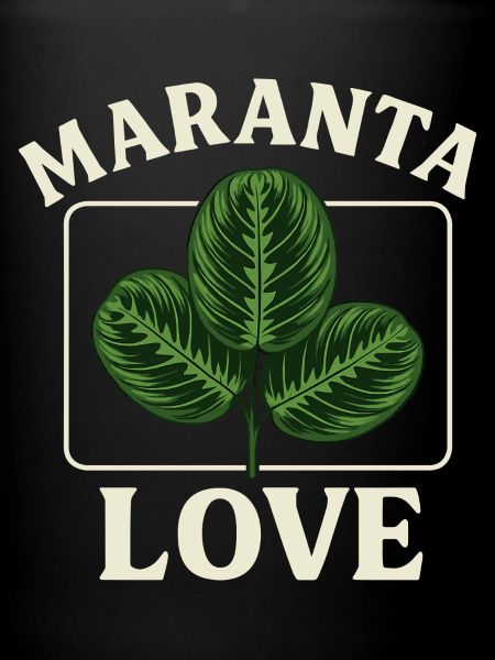 Maranta Love