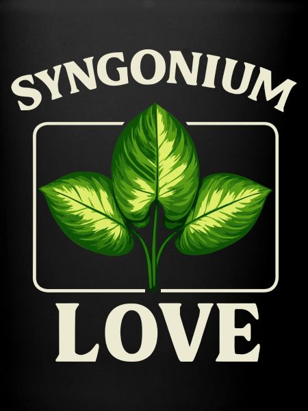 Amour Syngonium
