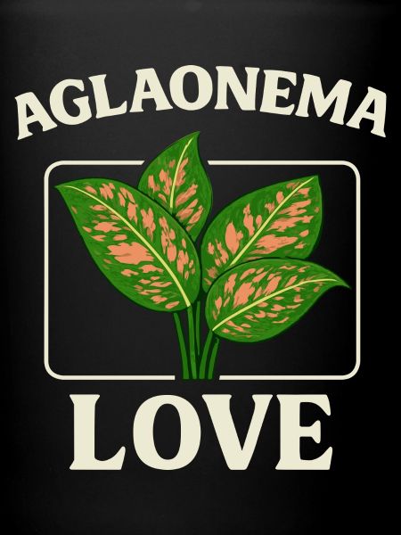 Aglaonema Love