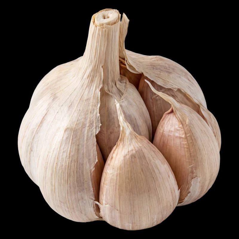 Ail Cuisine végane méditerranéenne
