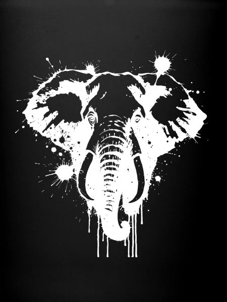 Elephant Splash White Splash