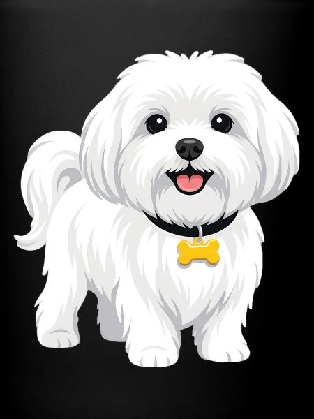 Maltese