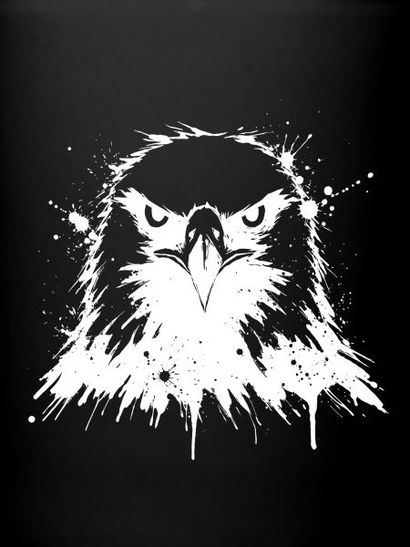 Abstrakter Splash Eagle