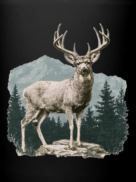 Hirsch mit Geweih