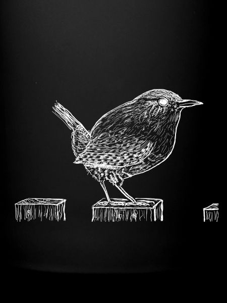 Wren