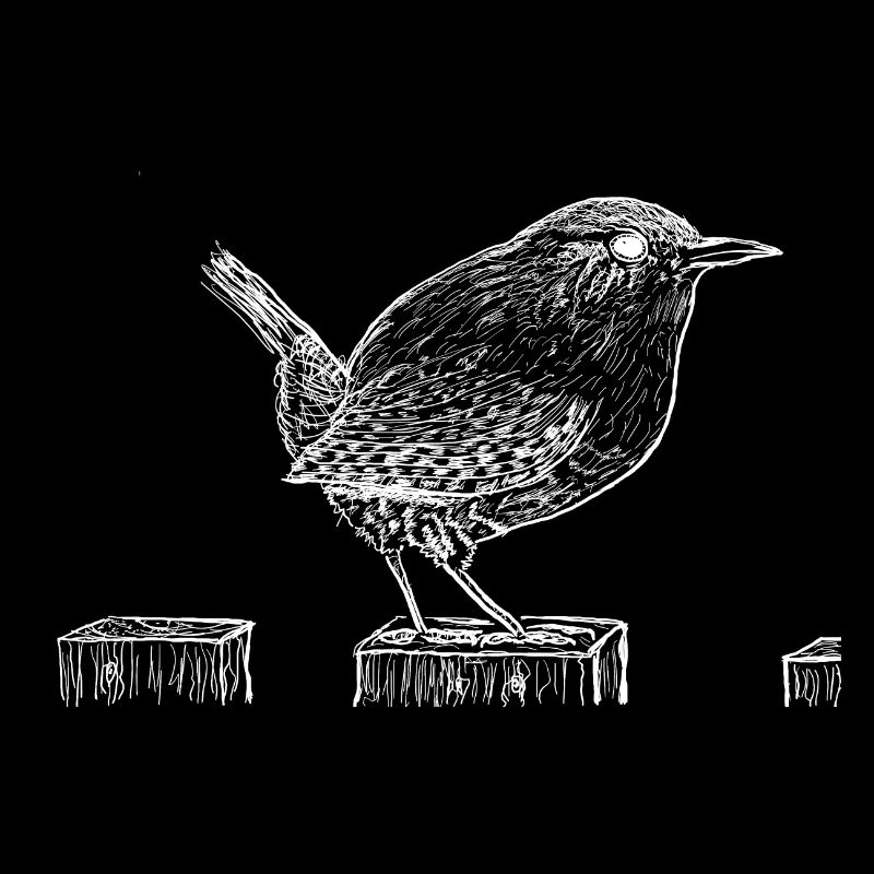 Wren