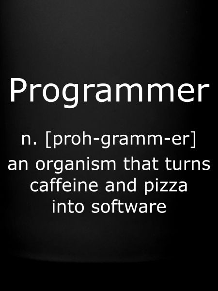 Programmer Programmierer