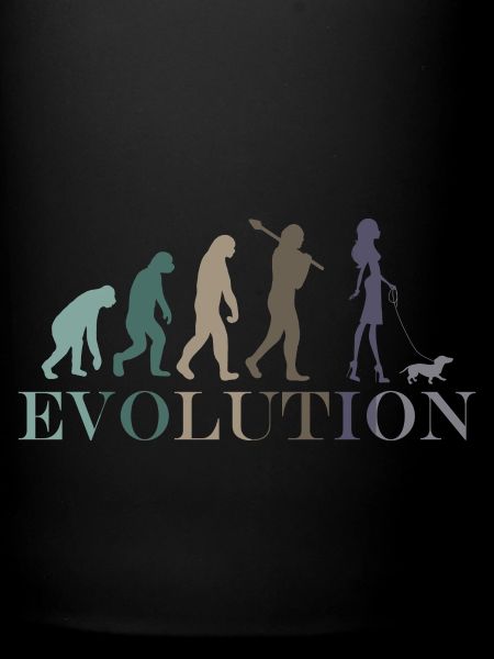 CHIEN TECKEL EVOLUTION FEMELLE