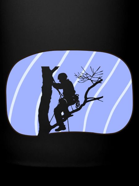 Grimpeur d’arbre Singe grimpant