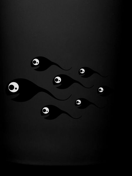 spermien