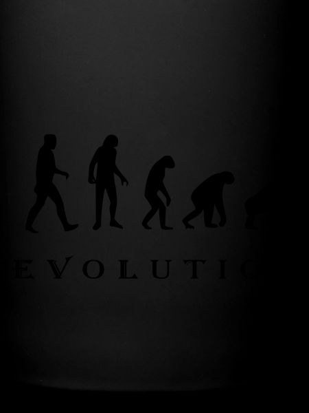 Evolution