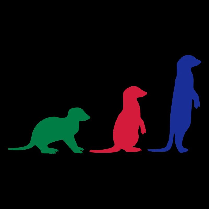 Meerkat three vector