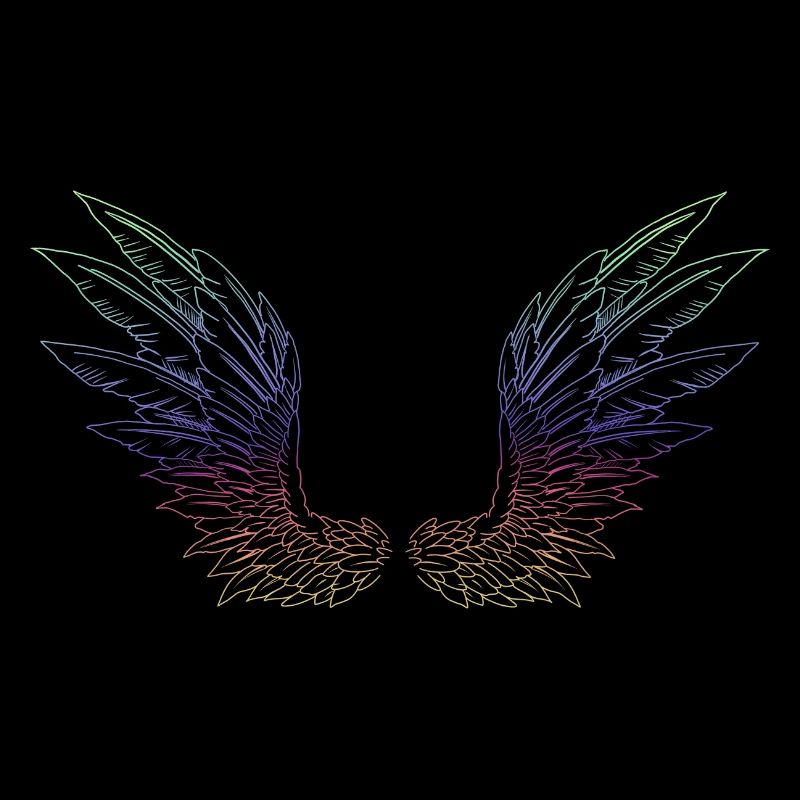 Rainbow wings