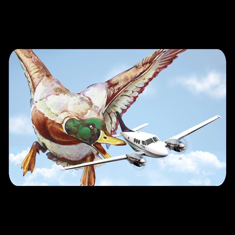 Attaque de canard (version 1 sans bulle de dialogue)