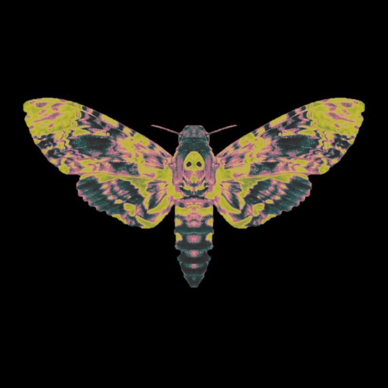 Cérête de tête de mort