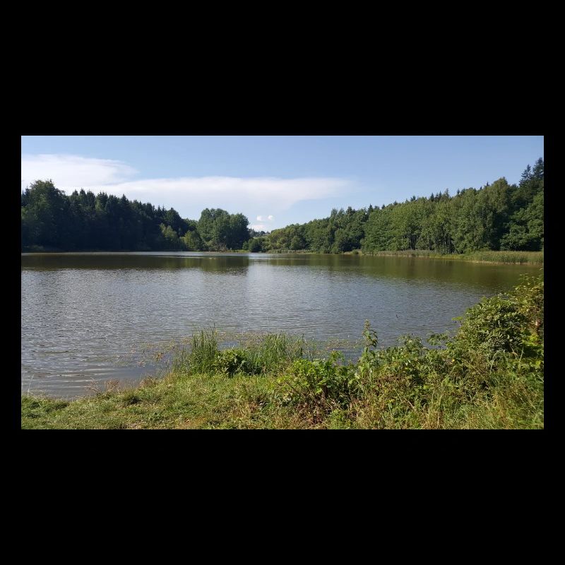 Lago