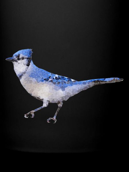Vogel ~ der blaue Eichelhäher