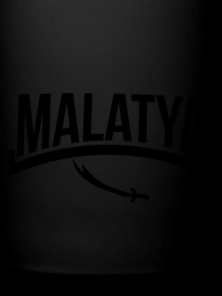 Malatya 44 alévis