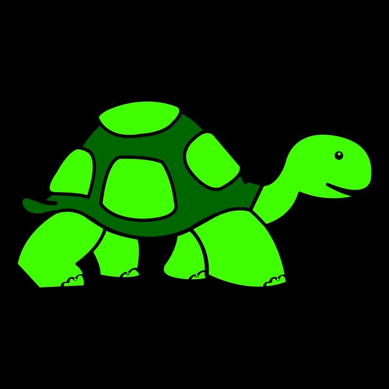 turtle