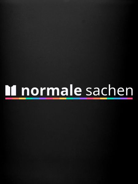 Normal Stuff Logo Arc-en-ciel