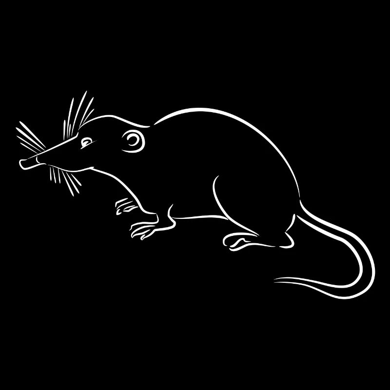 Zwergspitzmaus