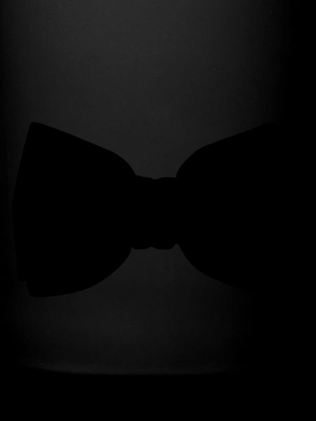 nœud papillon
