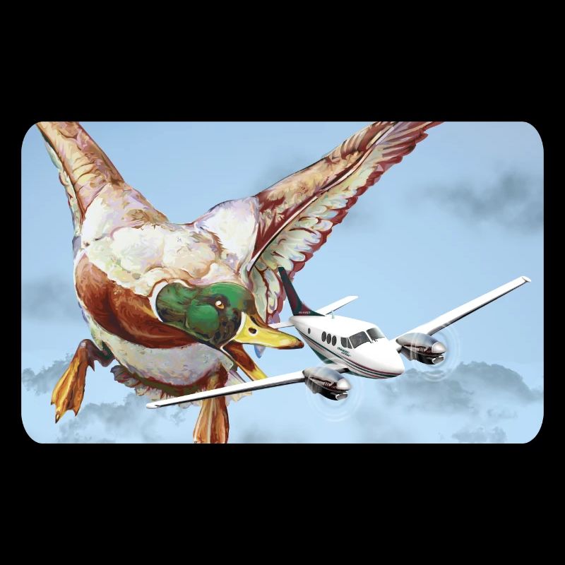 Attaque de canard (version 2 sans bulle de dialogue)